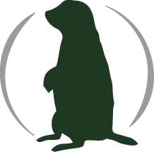 icone silhouette marmotte