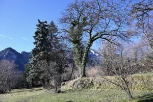 vue extérieure du gîte de la Brasca